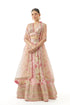 Devyani Lehenga Set